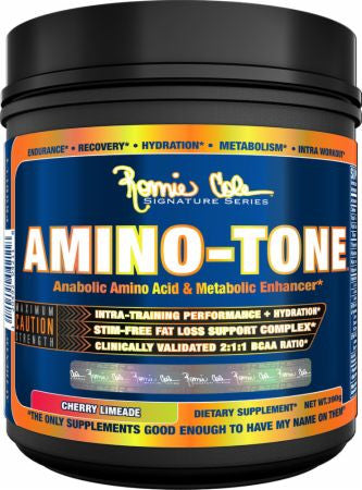 AMINO TONE 390 GRAMS FRUIT PUNCH